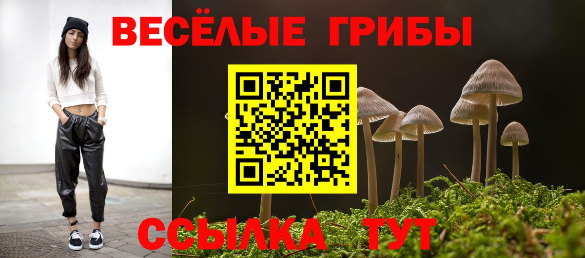 Галлюциногенные грибы Magic Shrooms  Галлюциногенные грибы мицелий  Дедовск  Вход с VPN 